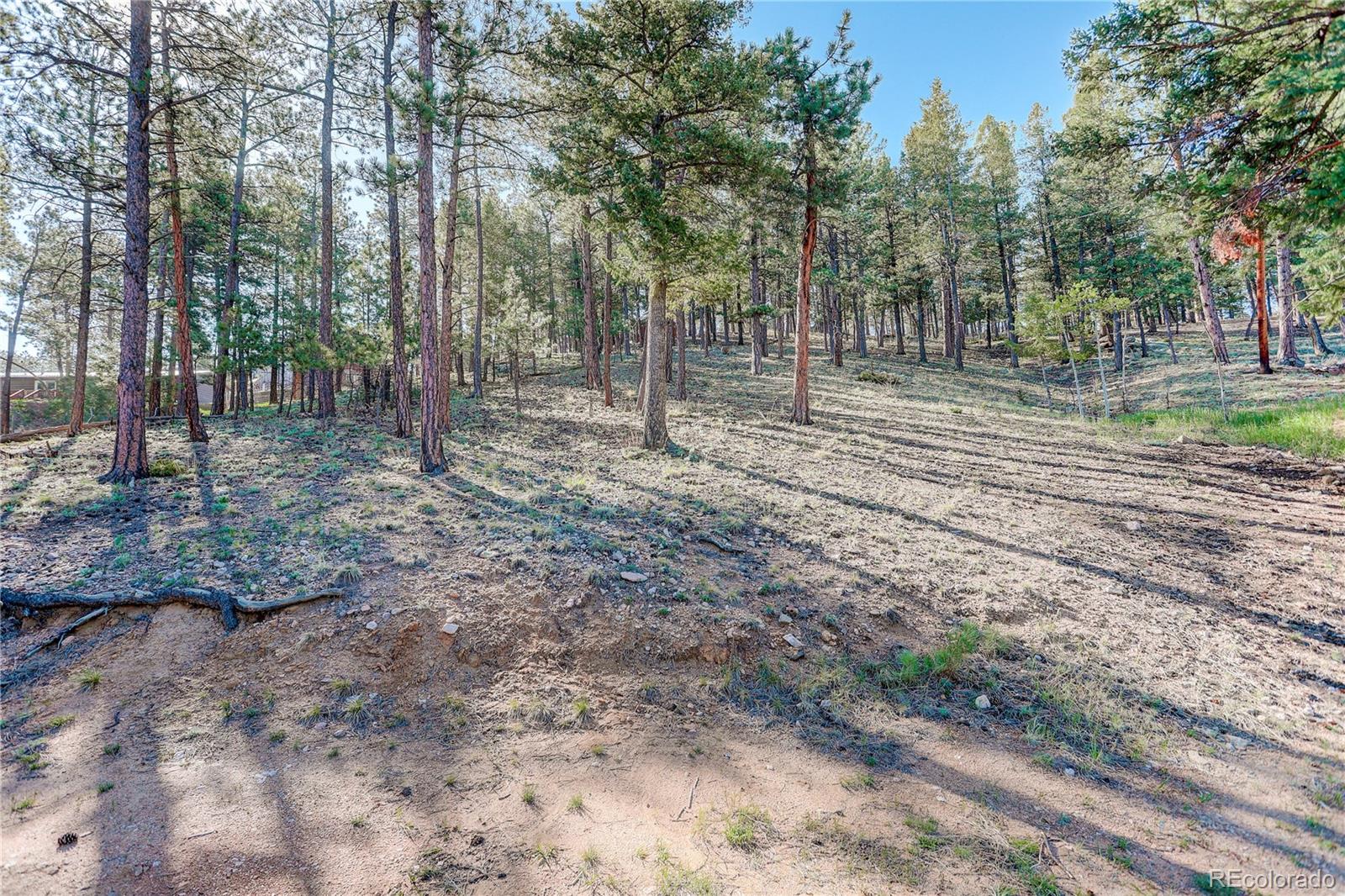 78 Grouse Lane Bailey, CO 80421 - Photo 27 of 31