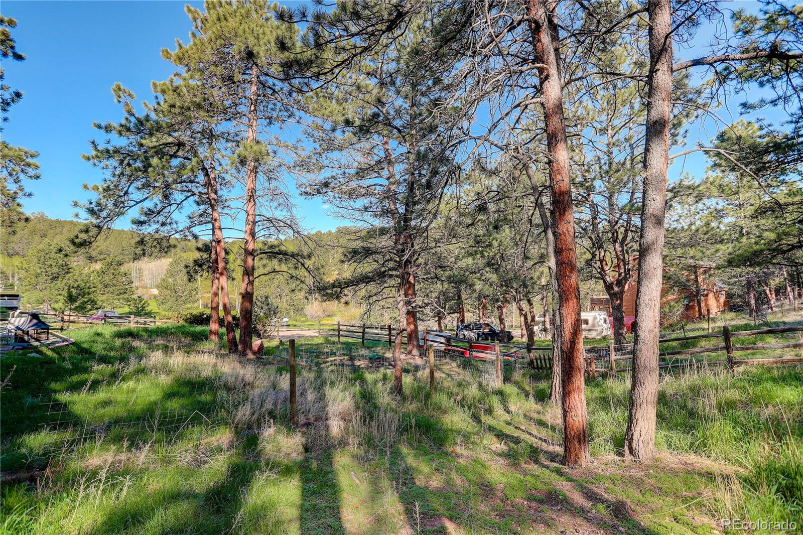 78 Grouse Lane Bailey, CO 80421 - Photo 28 of 31