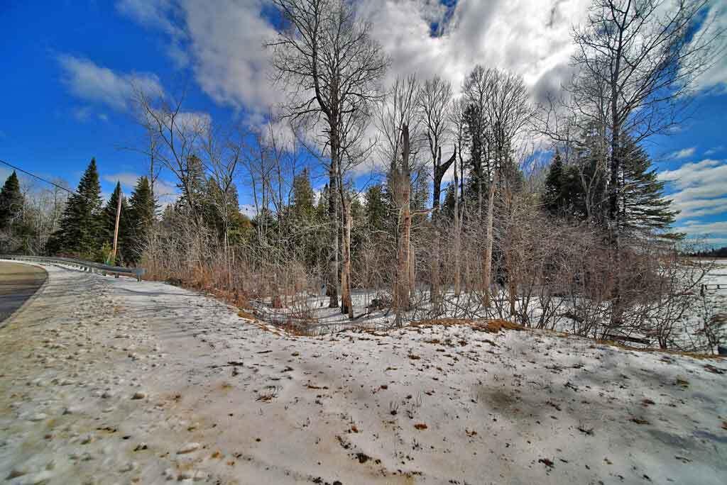 Lot 13 Wilcox Road Orient, ME 04471 - Photo 23 of 24