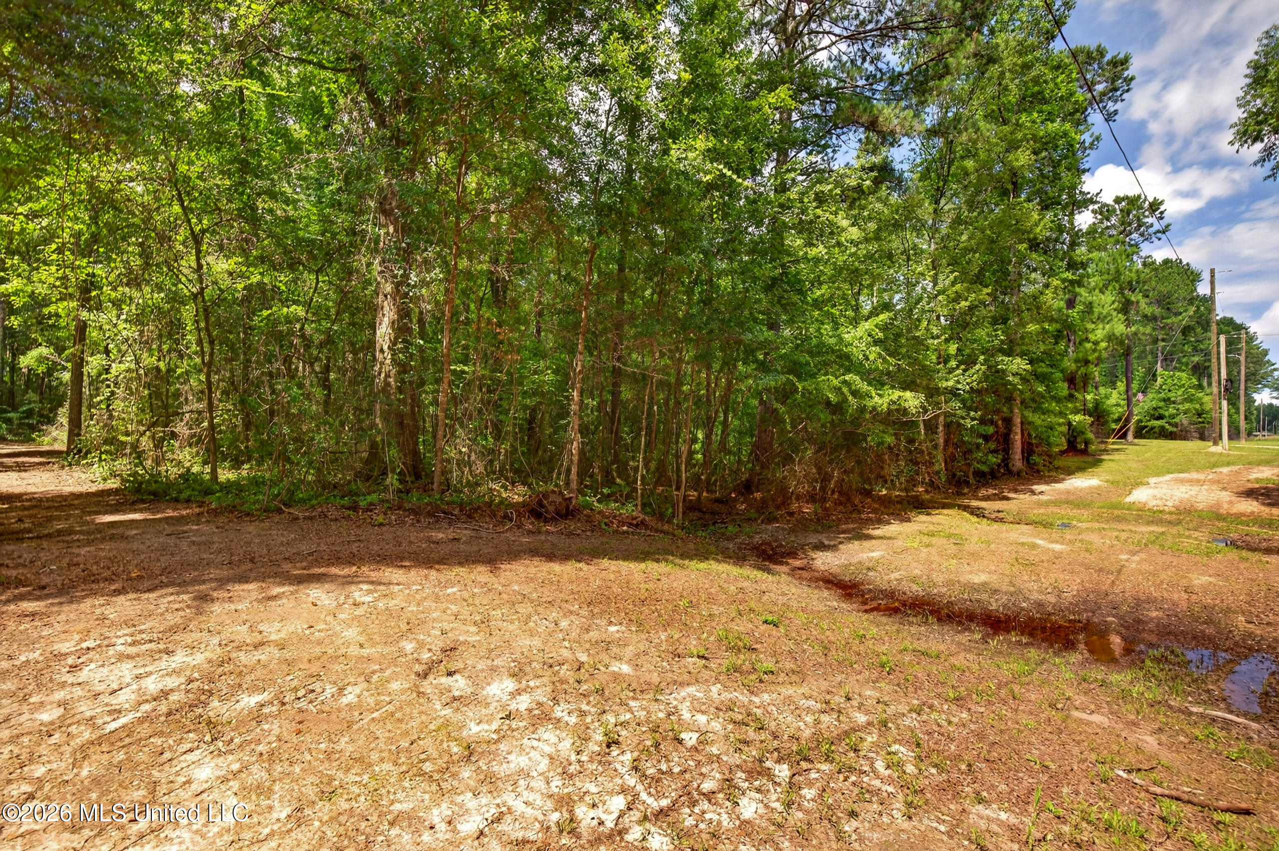 78 Game Reserve Road Columbia, MS 39429 - Photo 57 of 83 78GamerReserveRd.-9