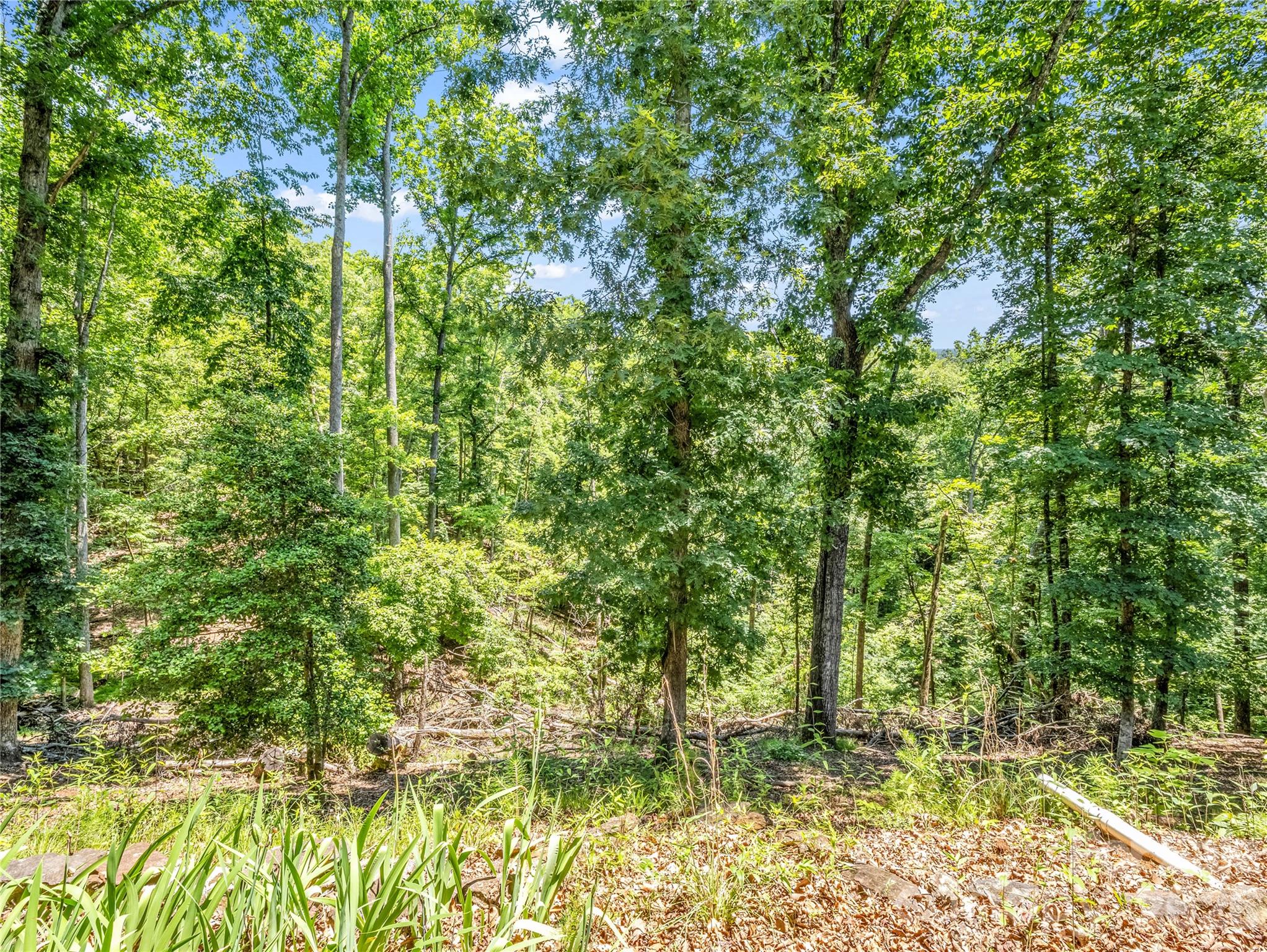 137 Amy Ridge Road Lake Lure, NC 28746 - Photo 35 of 38