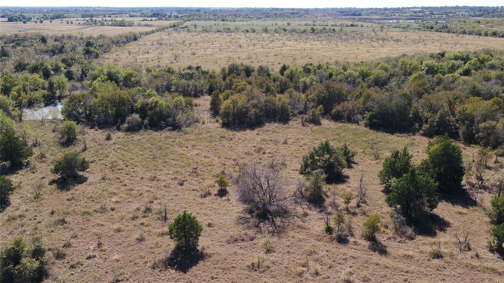 5 County Road Mexia, TX 76667 - Photo 6 of 33 a view of a dry yard with trees