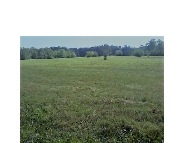 7680 New Cut Road Inman, SC 29349 - Photo 1 of 3