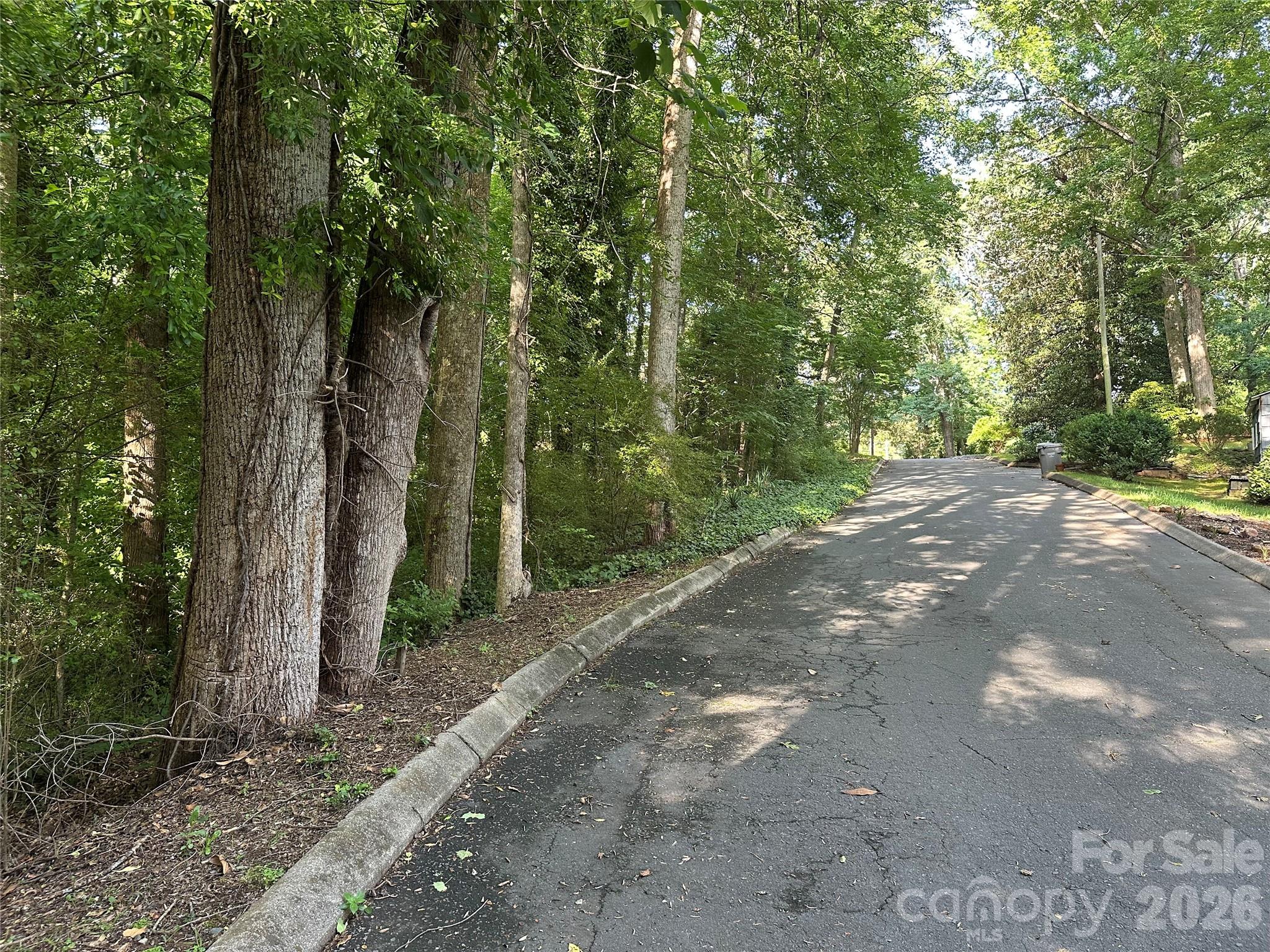 0 Briarcliff Road Rockwell, NC 28138 - Photo 11 of 25