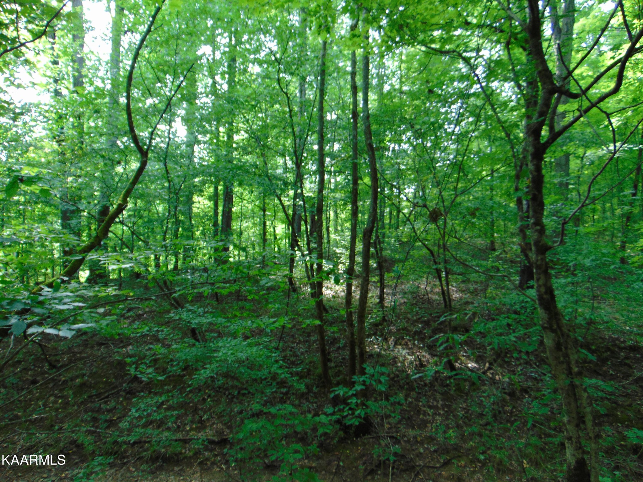 37 Pinhook Road Delano, TN 37325 - Photo 46 of 47 Gallery Image 46