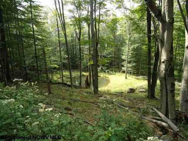 55 Cabin Mountain Road Davis, WV 26260 - Photo 3 of 5 Gallery Image 3