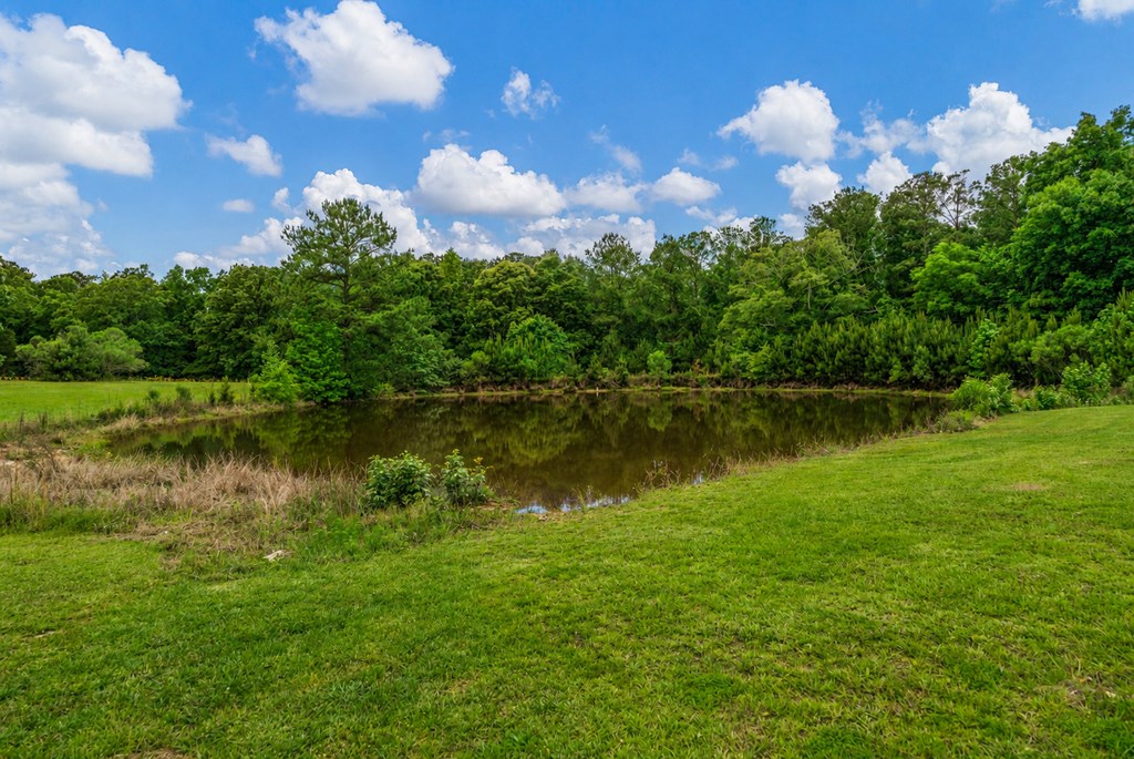 540 Goat Rock Road Fortson, GA 31808 - Photo 7 of 28 Gallery Image 7