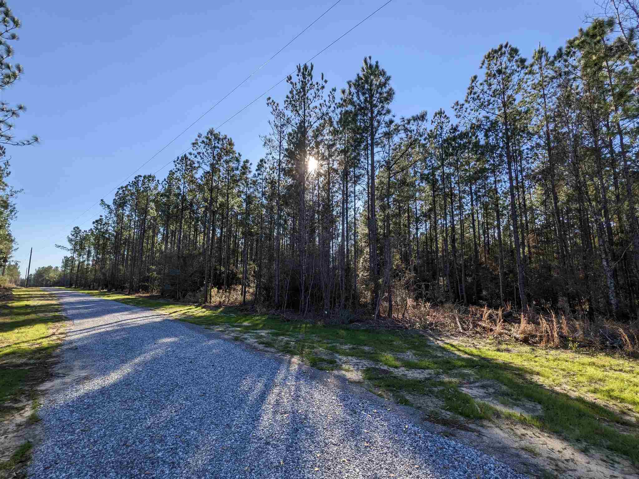1 Greenwood Road Jay, FL 32565 - Photo 3 of 9 Gallery Image 3