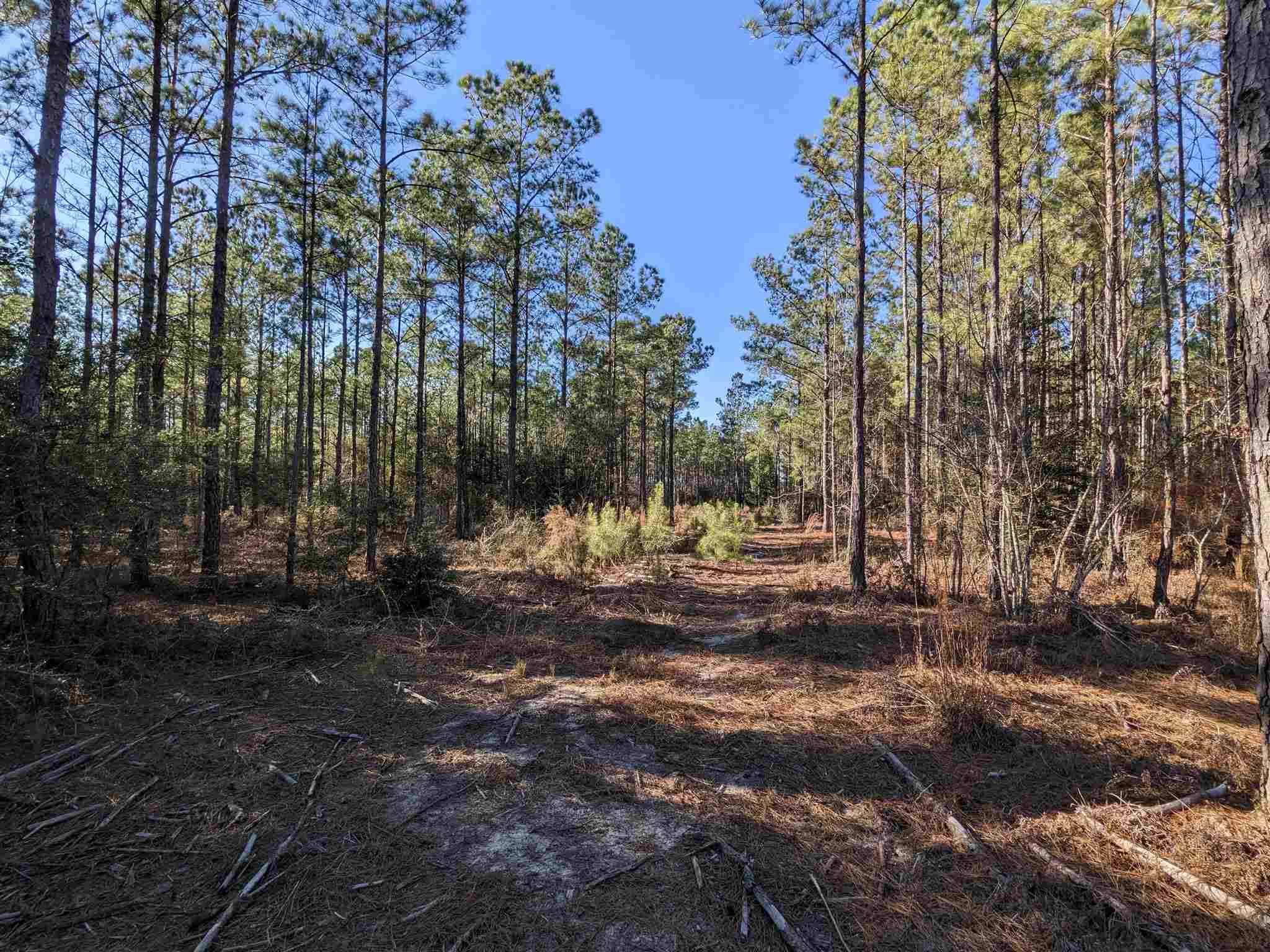 1 Greenwood Road Jay, FL 32565 - Photo 4 of 9 Gallery Image 4