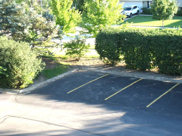 a view of a yard with an outdoor space