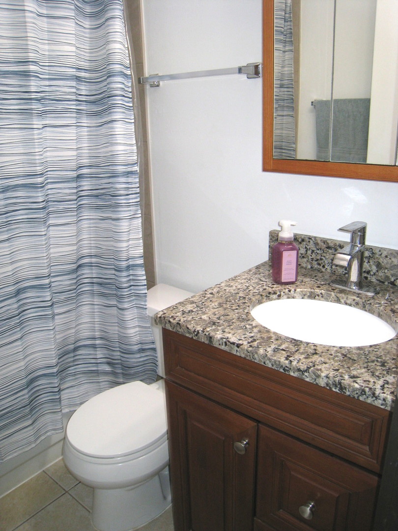 187 Pickwick Drive, Unit 1A Schaumburg, IL 60193 - Photo 7 of 17 a bathroom with a granite countertop toilet sink and mirror