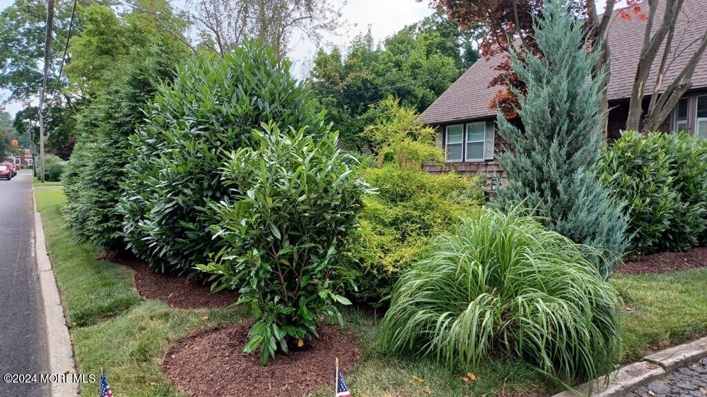 328 White Road Little Silver, NJ 07739 - Photo 7 of 57 009_dsc05263-1_44
