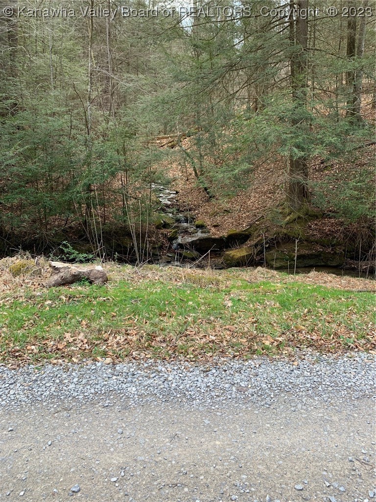 444 Carolina Mountain Road Sutton, WV 26601 - Photo 16 of 17 Gallery Image 16