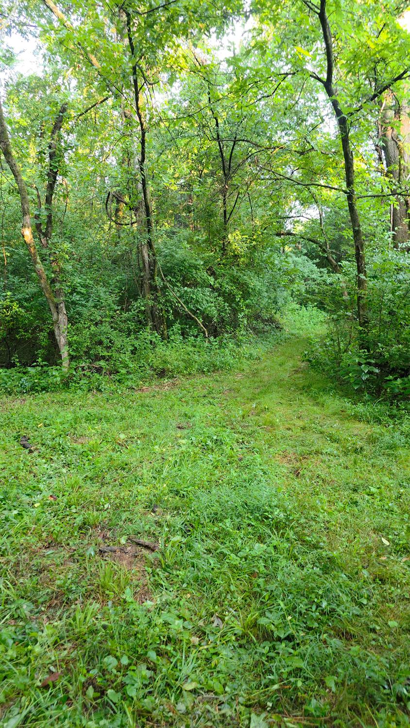 9758 Scotts Ridge Road Rising Sun, IN 47040 - Photo 11 of 29