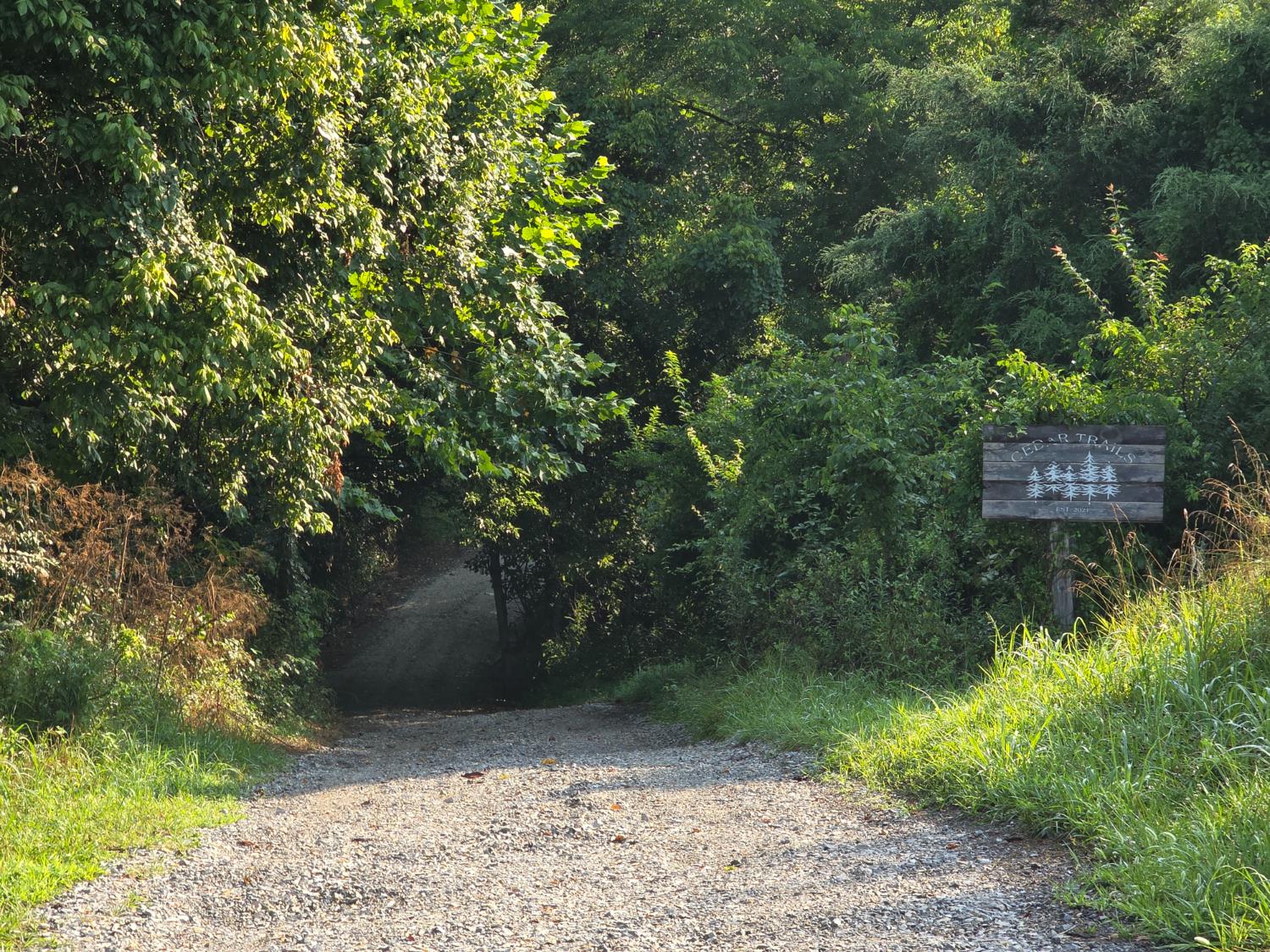 9758 Scotts Ridge Road Rising Sun, IN 47040 - Photo 16 of 29