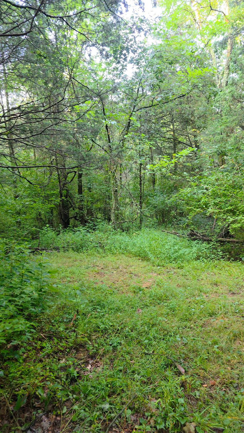 9758 Scotts Ridge Road Rising Sun, IN 47040 - Photo 9 of 29