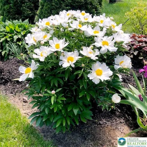 $399,900 | 1925 Troxell Street, Allentown, PA 18109