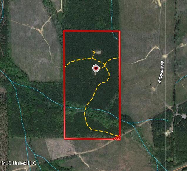 North Turnage Road Pelahatchie, MS 39145 - Photo 1 of 27 Screenshot 2023-09-19 184922