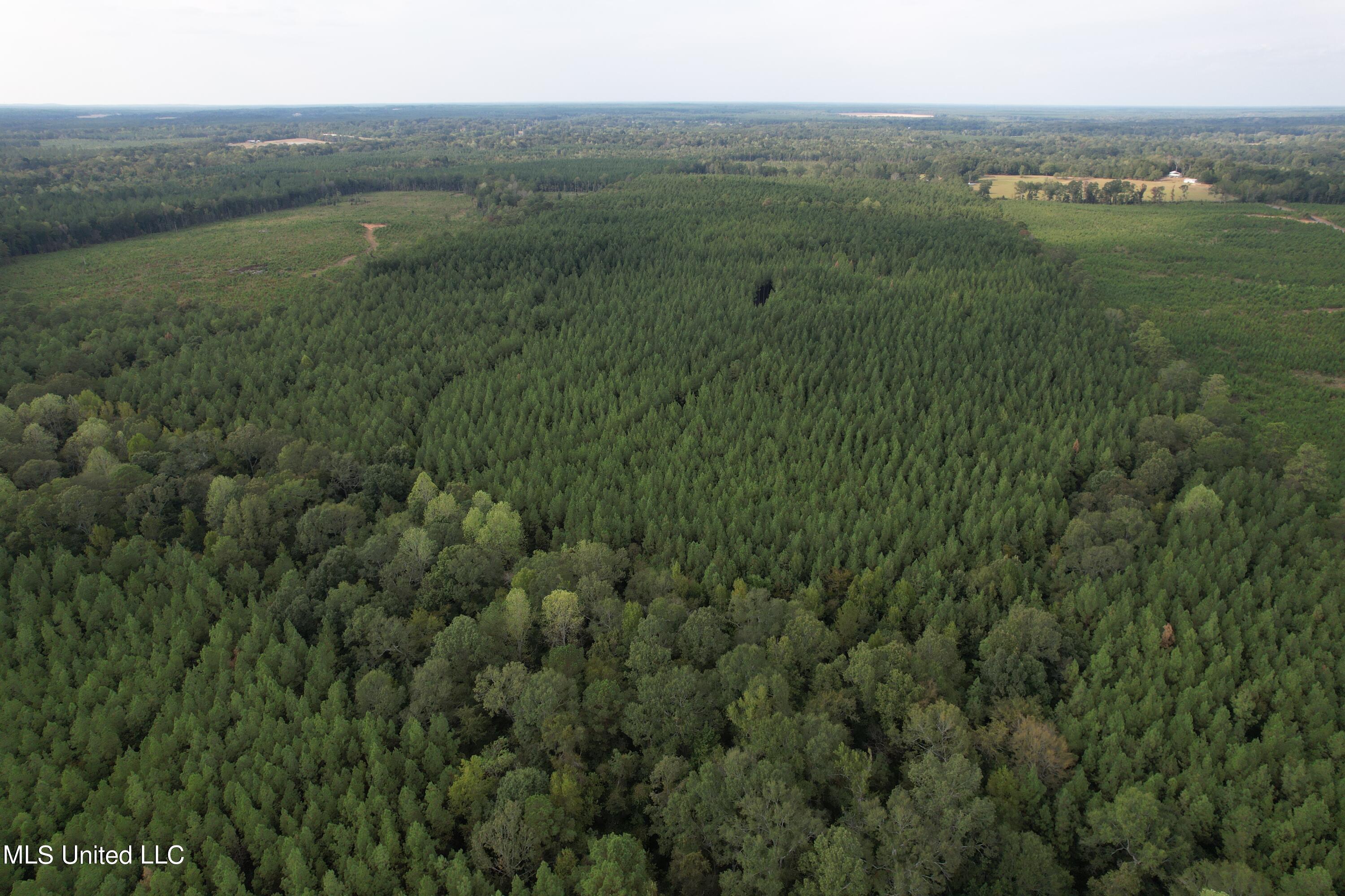 North Turnage Road Pelahatchie, MS 39145 - Photo 11 of 27 DJI_0447