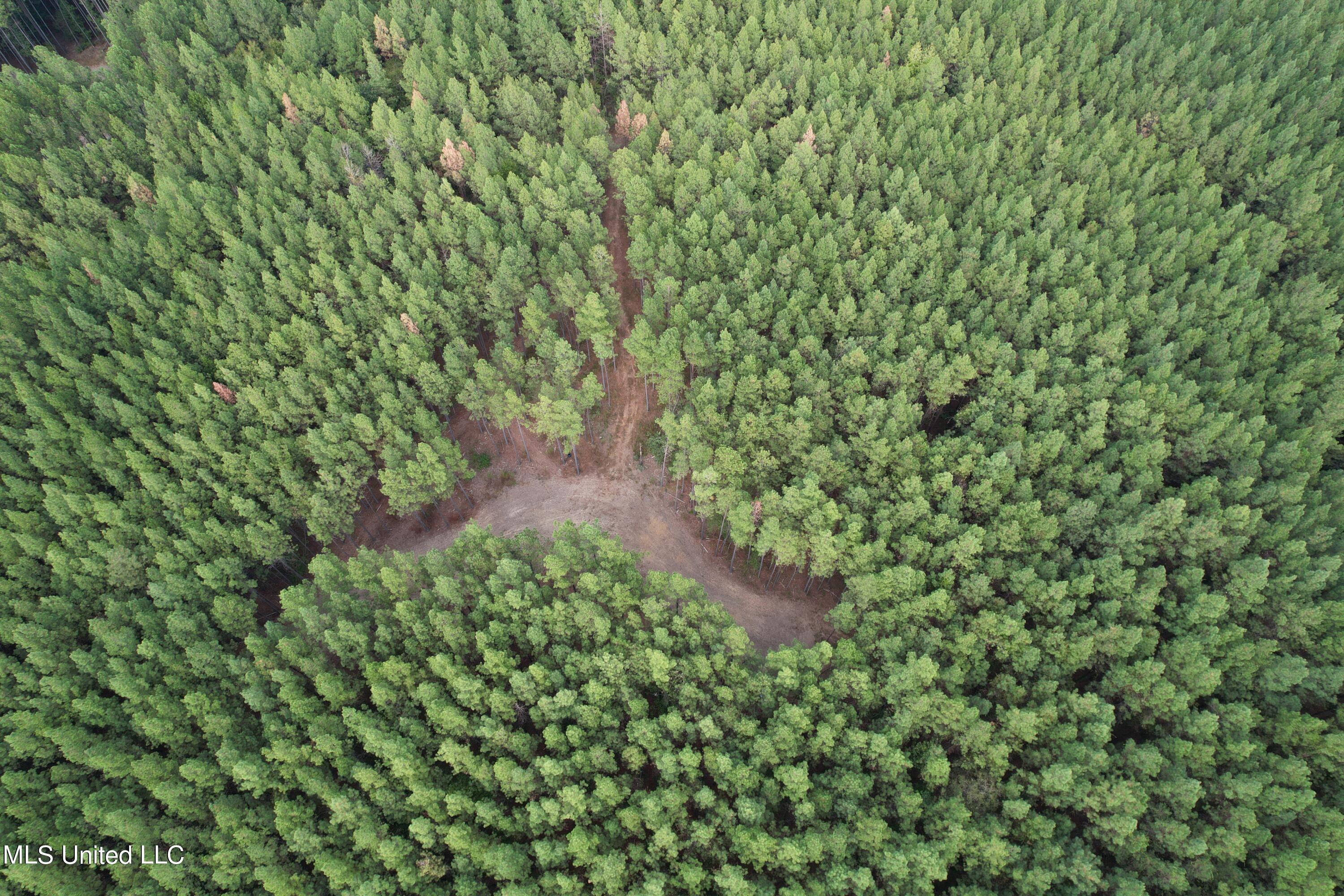 North Turnage Road Pelahatchie, MS 39145 - Photo 12 of 27 DJI_0448
