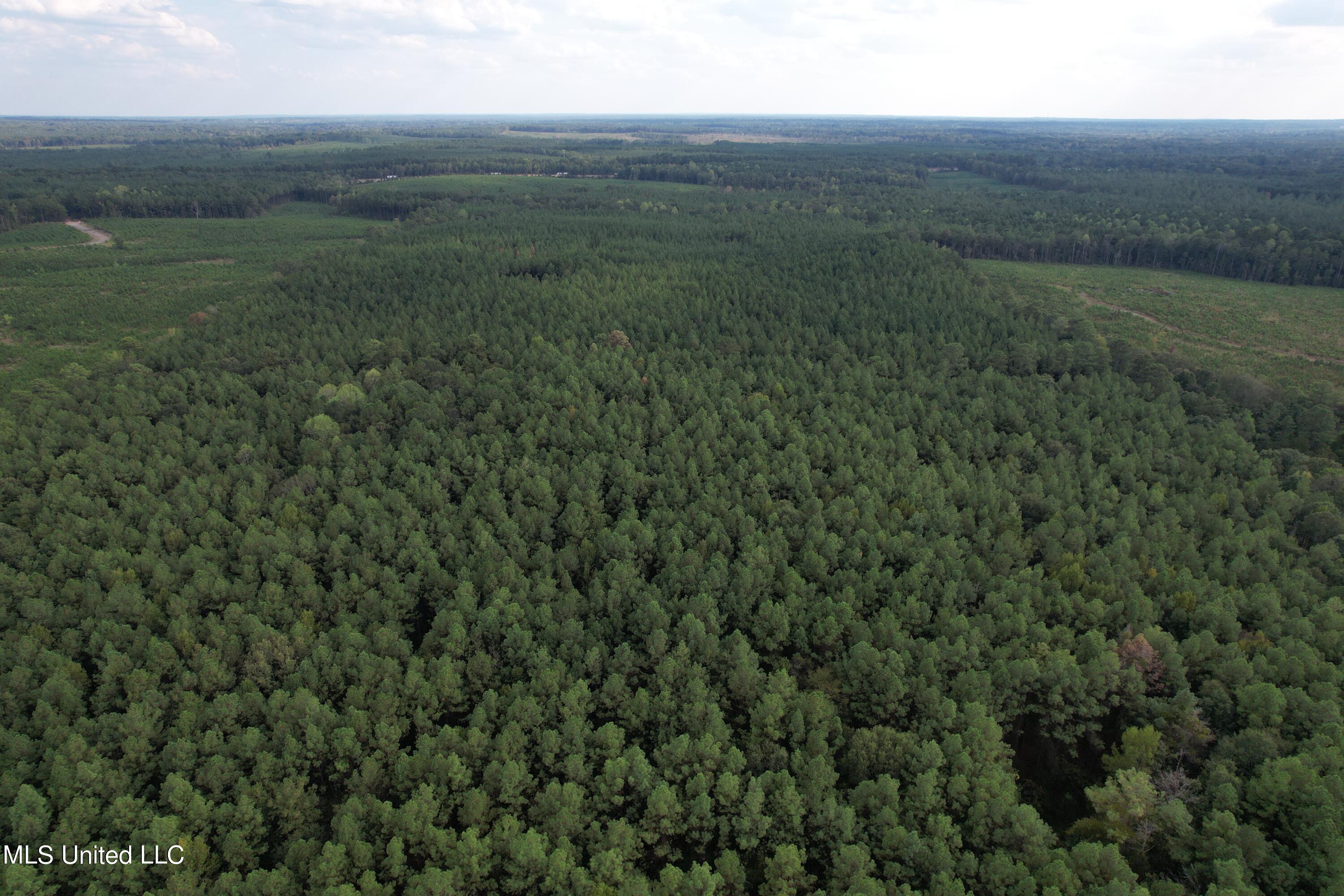 North Turnage Road Pelahatchie, MS 39145 - Photo 14 of 27 DJI_0451