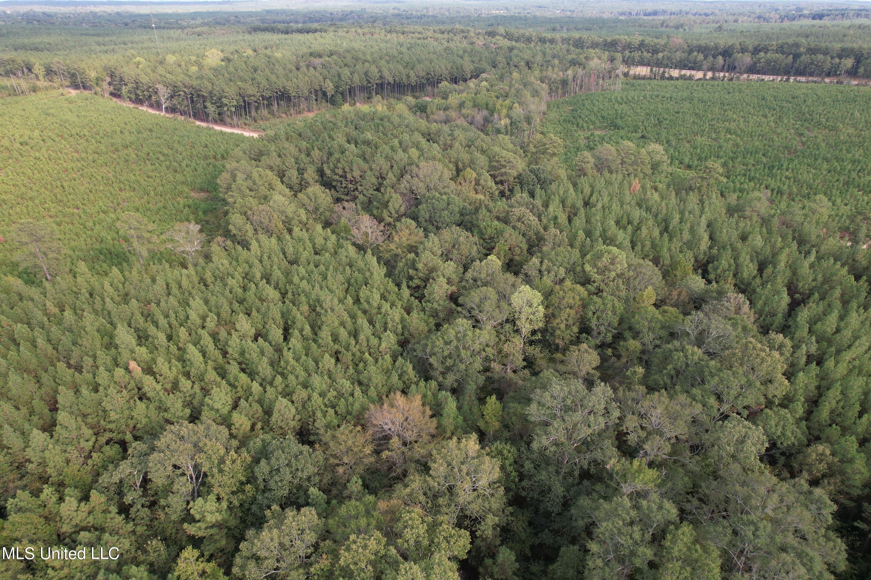 North Turnage Road Pelahatchie, MS 39145 - Photo 16 of 27 DJI_0453