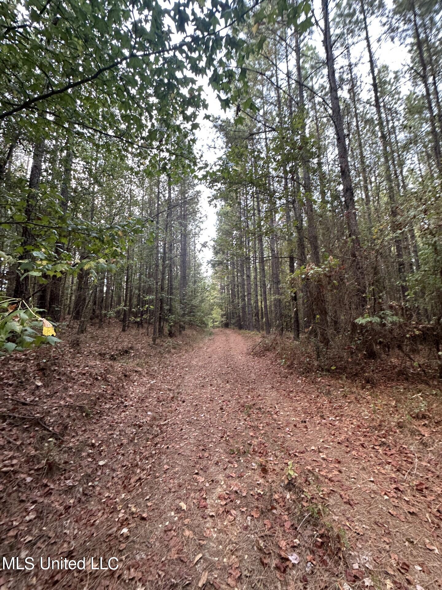North Turnage Road Pelahatchie, MS 39145 - Photo 18 of 27 thumbnail_IMG_7416