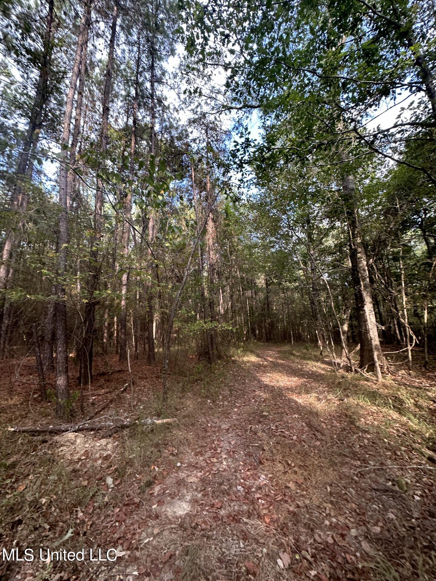 North Turnage Road Pelahatchie, MS 39145 - Photo 20 of 27 thumbnail_IMG_7422