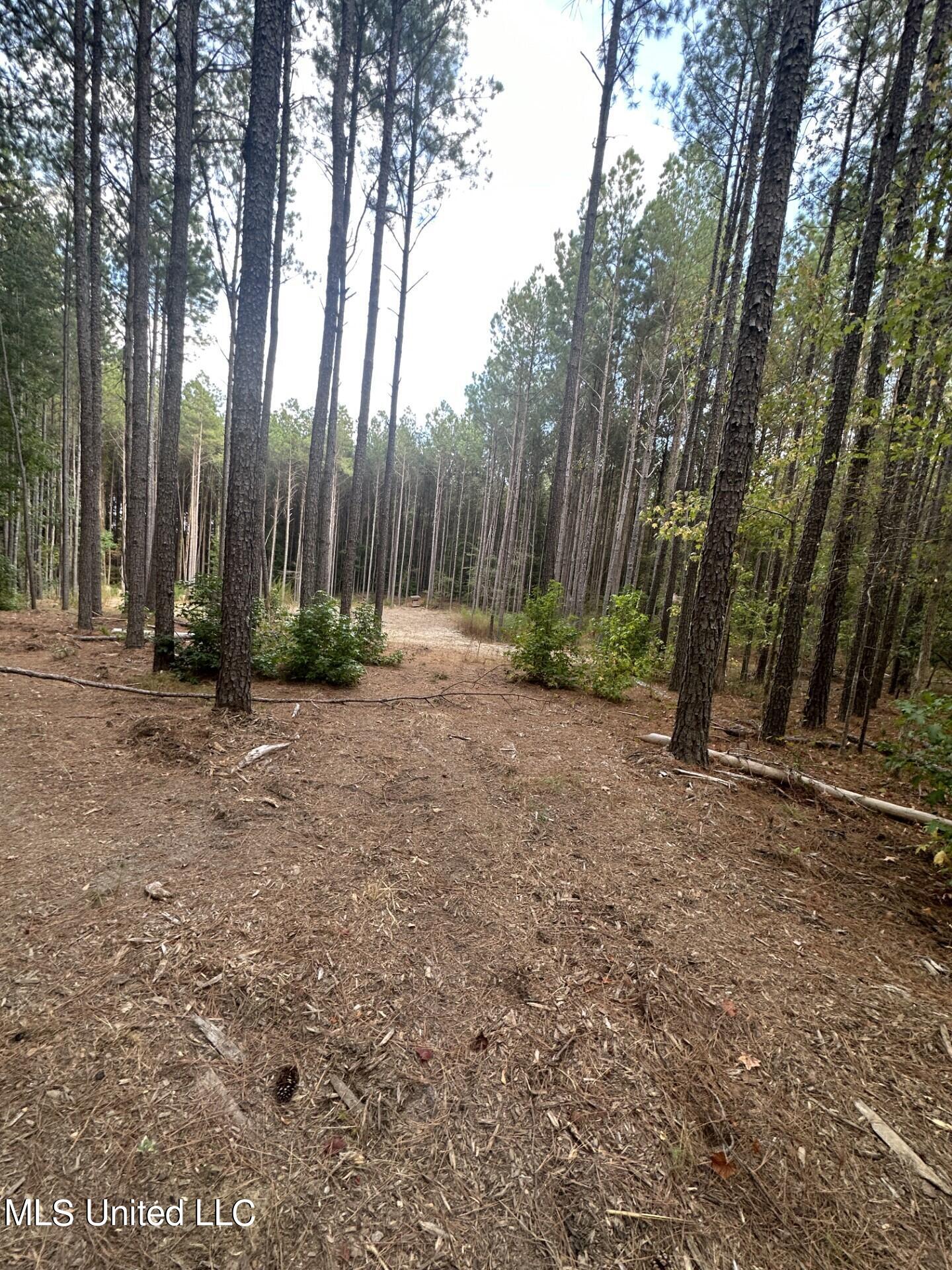 North Turnage Road Pelahatchie, MS 39145 - Photo 25 of 27 thumbnail_IMG_7431