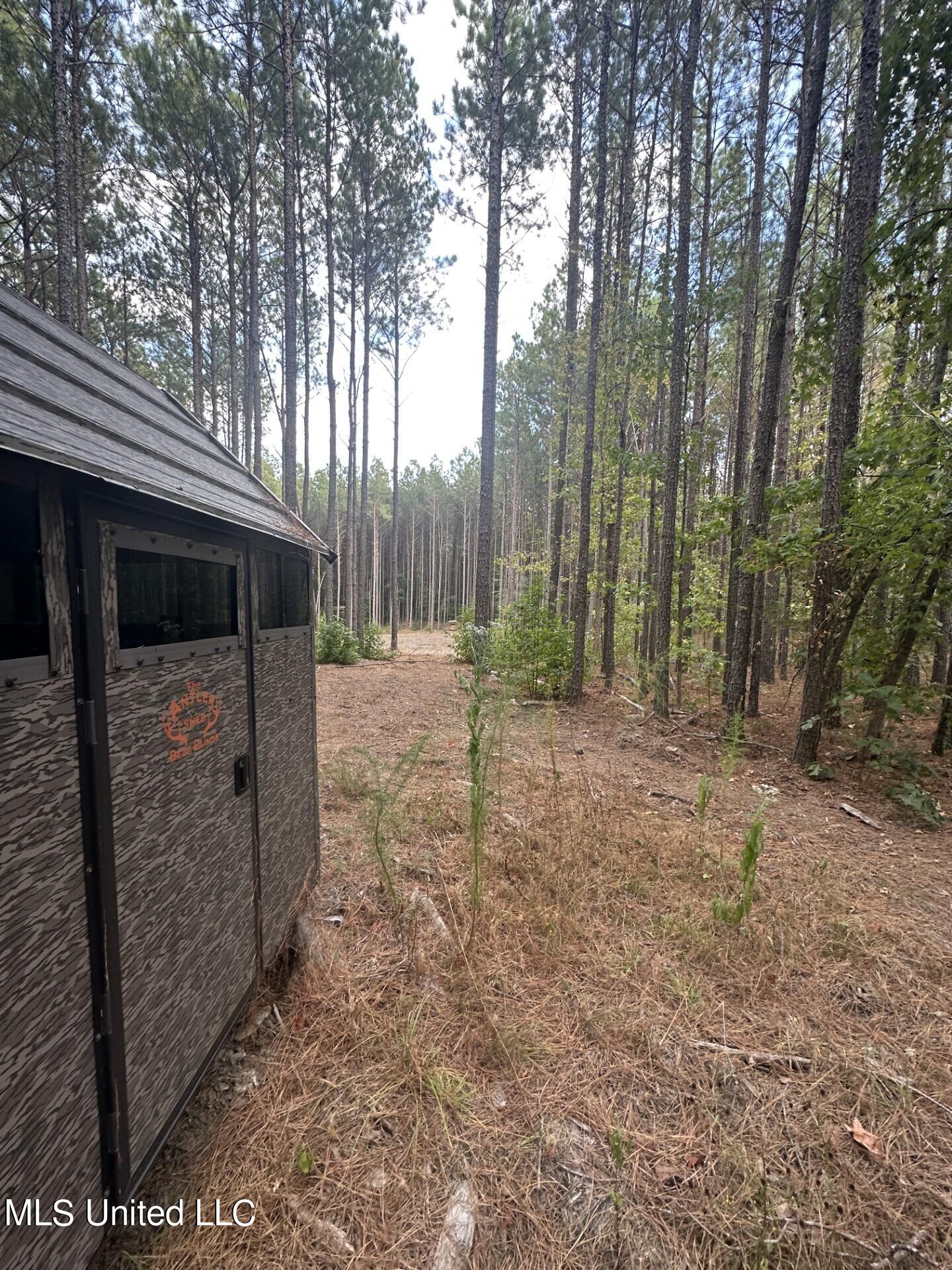 North Turnage Road Pelahatchie, MS 39145 - Photo 26 of 27 thumbnail_IMG_7434