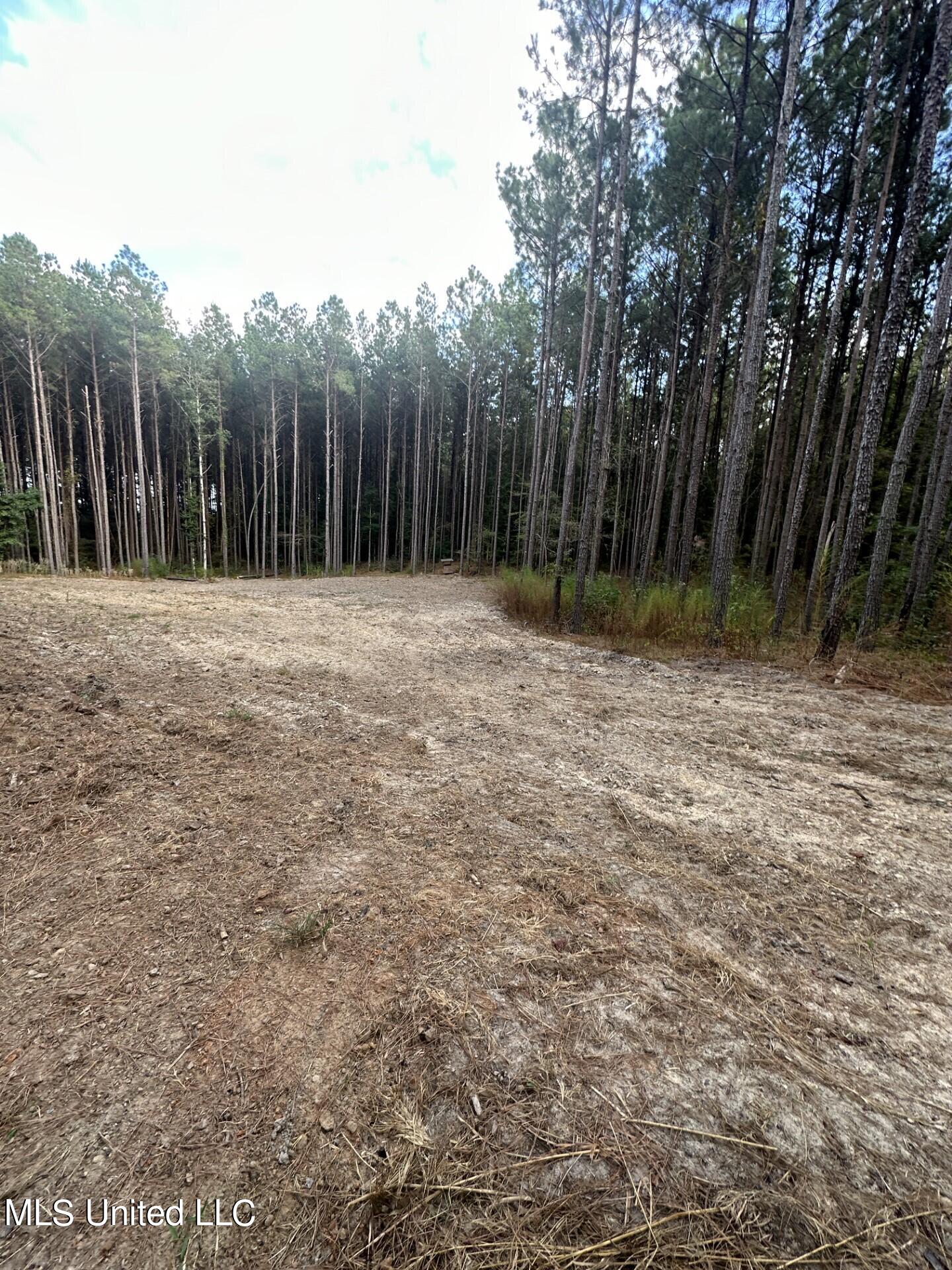 North Turnage Road Pelahatchie, MS 39145 - Photo 27 of 27 thumbnail_IMG_7436