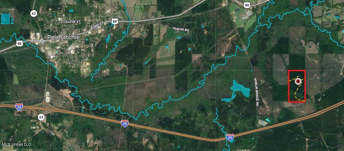 North Turnage Road Pelahatchie, MS 39145 - Photo 3 of 27 Screenshot 2023-09-19 191654