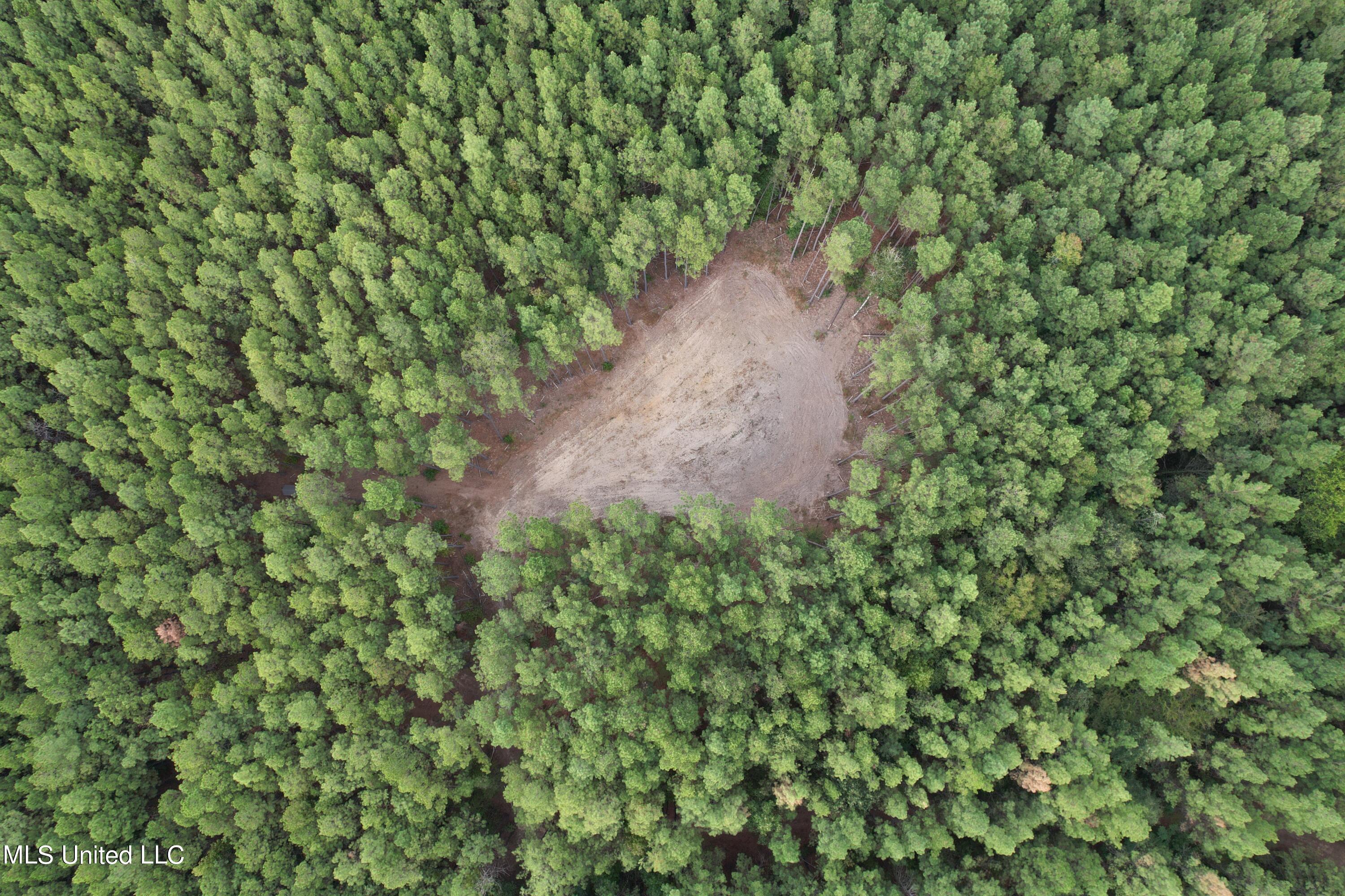 North Turnage Road Pelahatchie, MS 39145 - Photo 4 of 27 DJI_0449