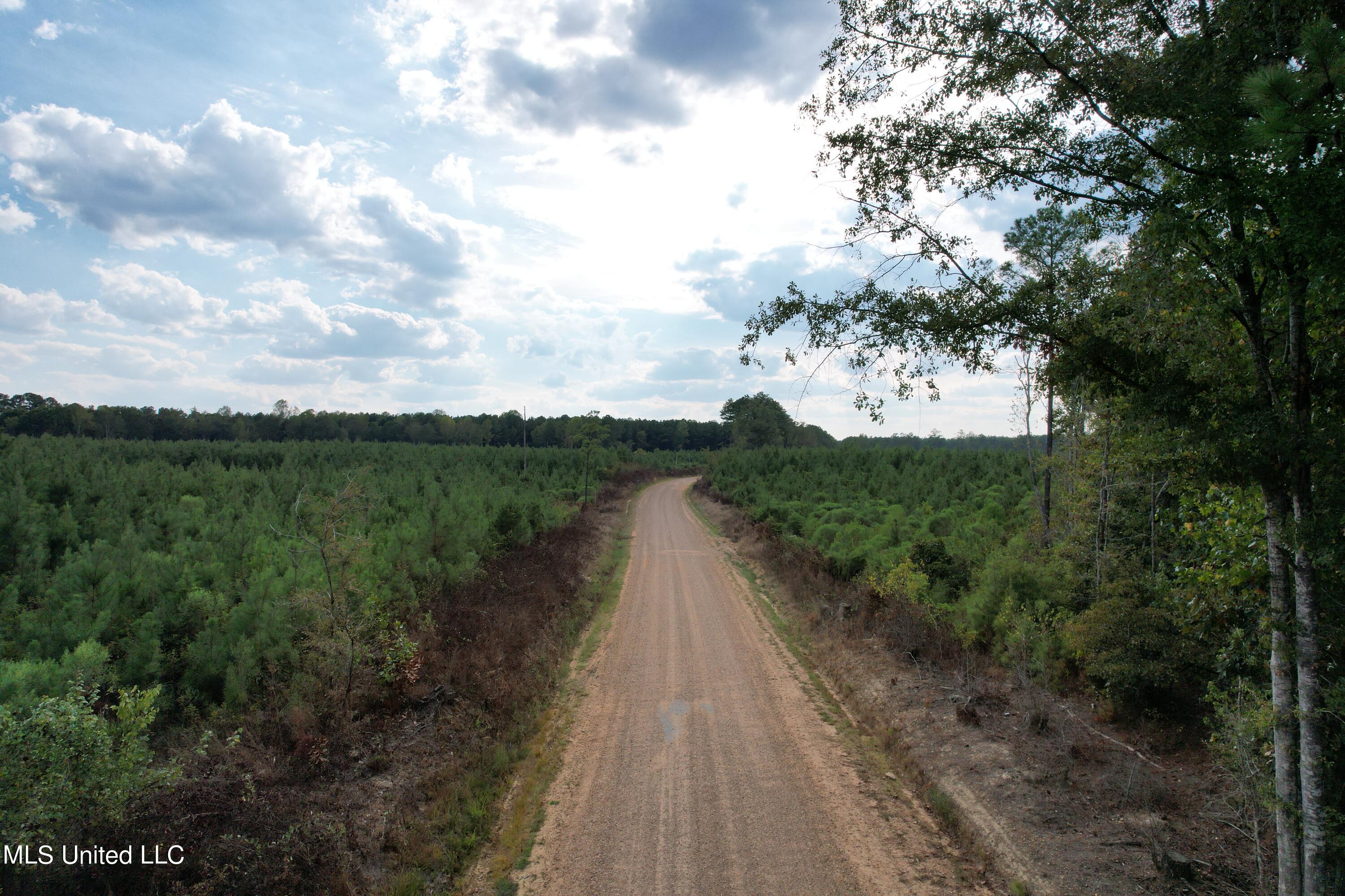 North Turnage Road Pelahatchie, MS 39145 - Photo 5 of 27 DJI_0440
