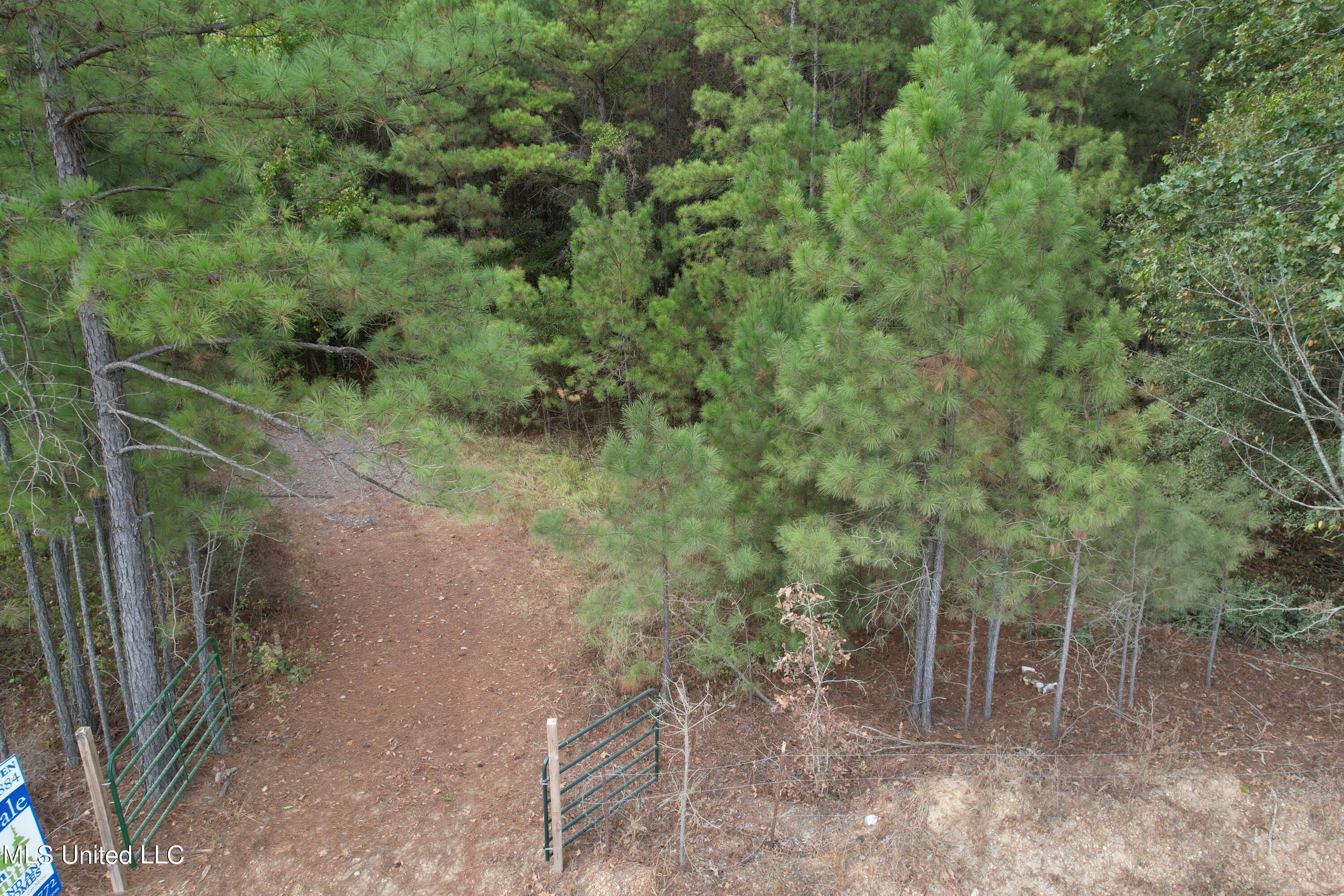 North Turnage Road Pelahatchie, MS 39145 - Photo 6 of 27 DJI_0441