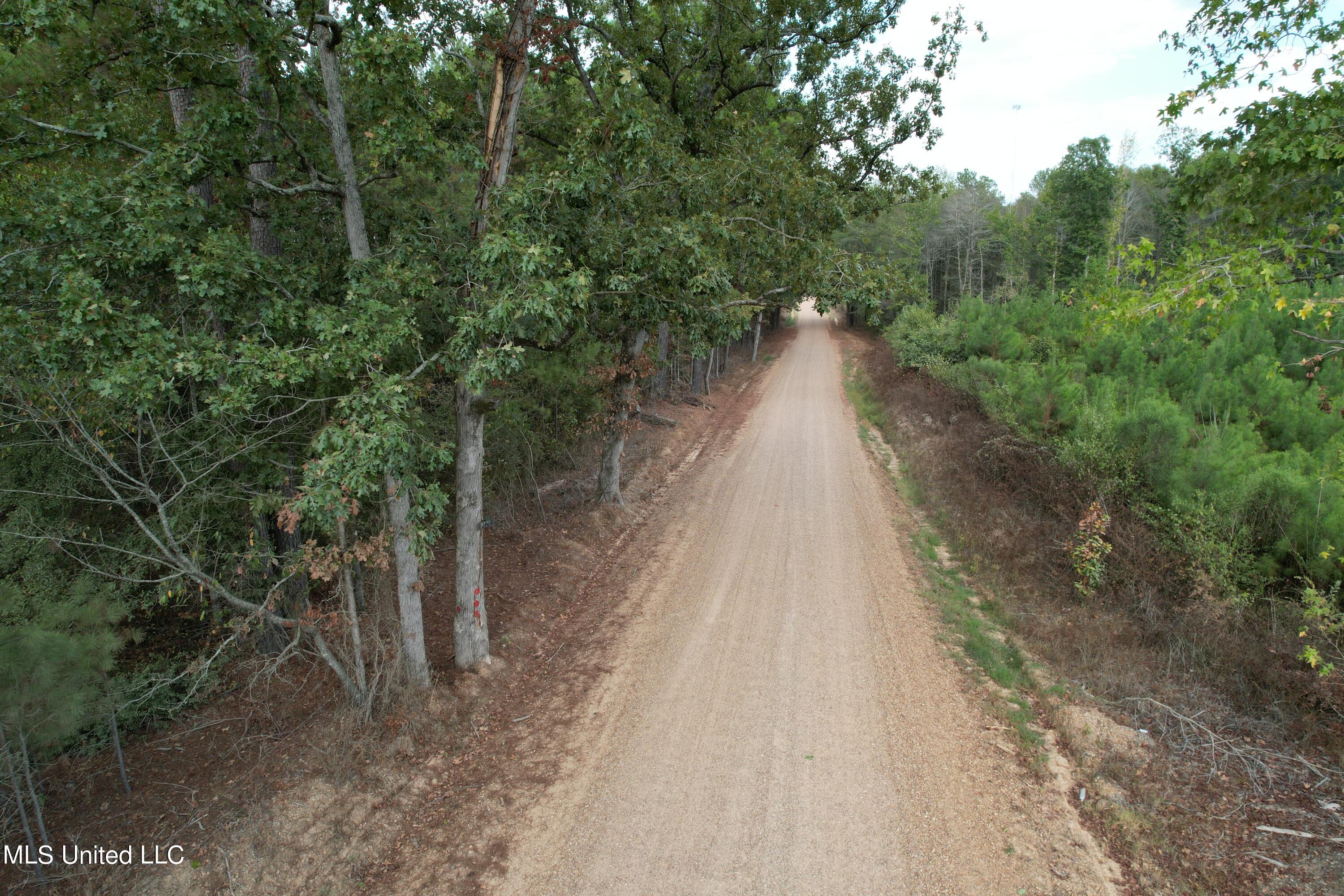 North Turnage Road Pelahatchie, MS 39145 - Photo 7 of 27 DJI_0442