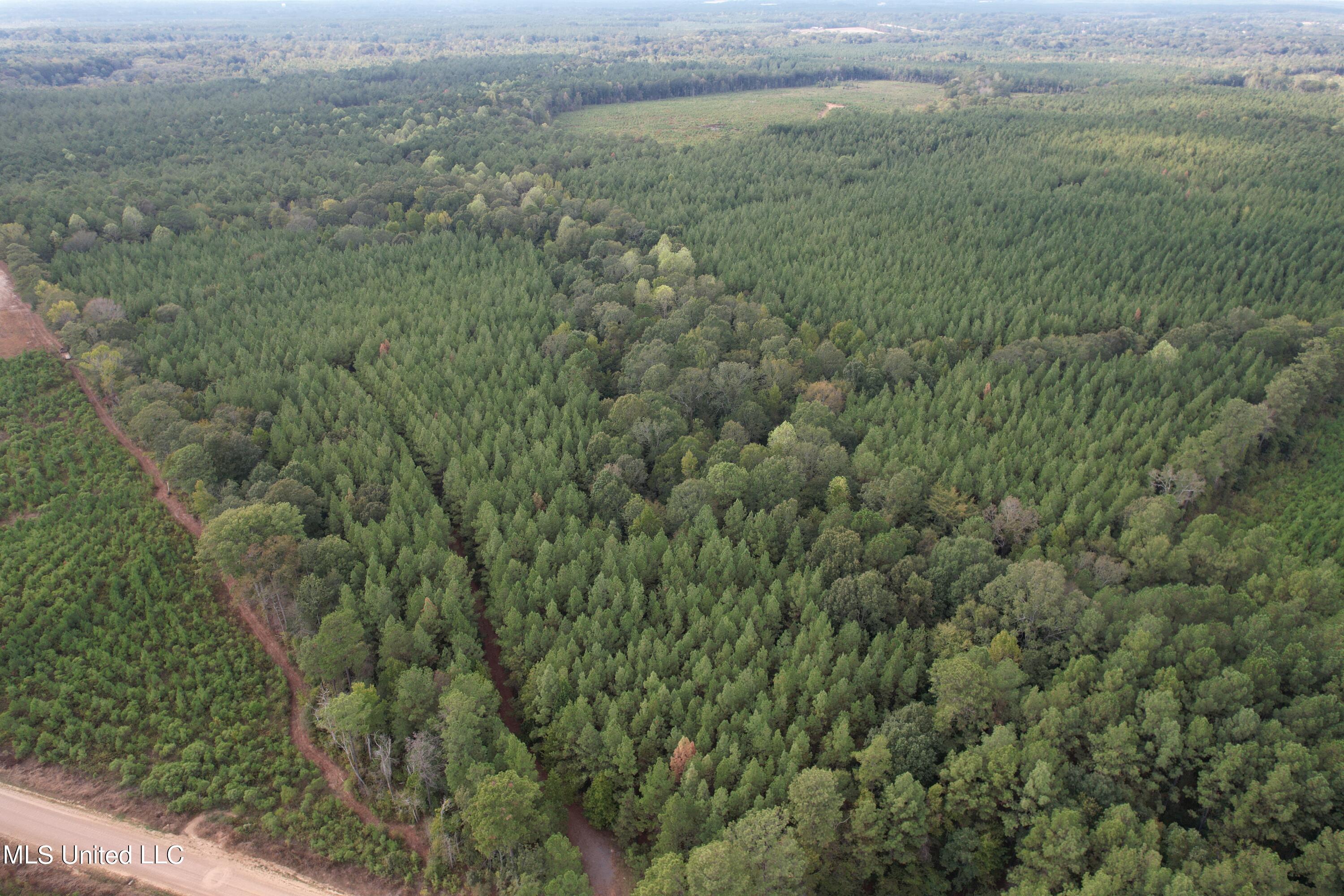 North Turnage Road Pelahatchie, MS 39145 - Photo 8 of 27 DJI_0443