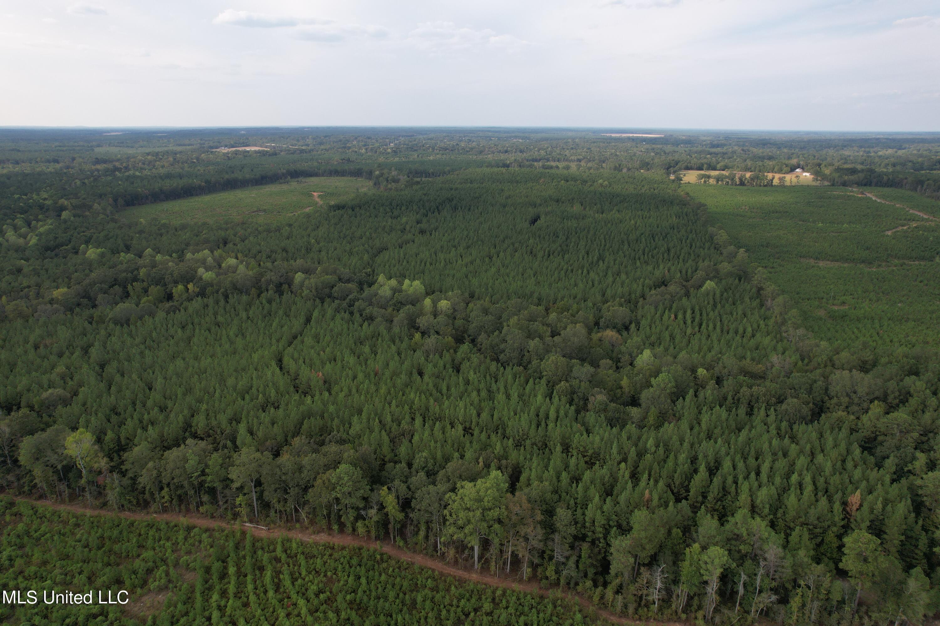 North Turnage Road Pelahatchie, MS 39145 - Photo 10 of 27 DJI_0446