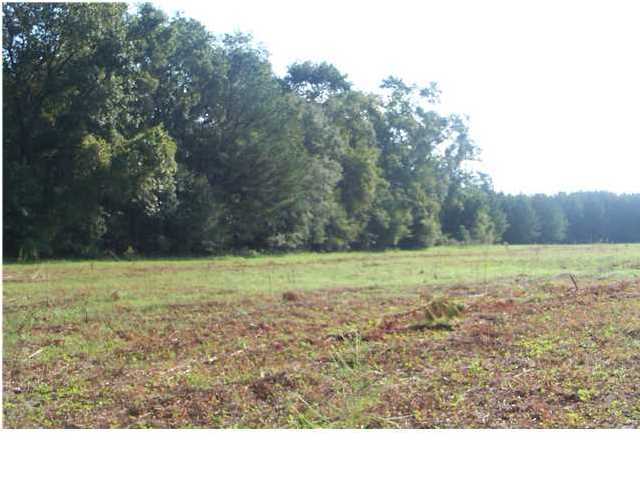 1394 Jedburg Road Summerville, SC 29486 - Photo 1 of 1 Primary Photo