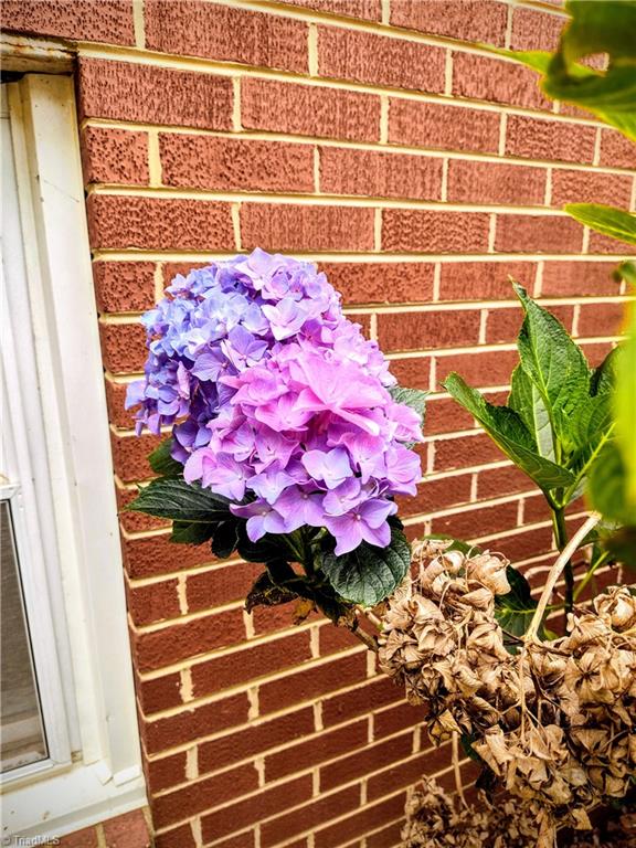 3643 Ellisboro Road Stokesdale, NC 27357 - Photo 40 of 49