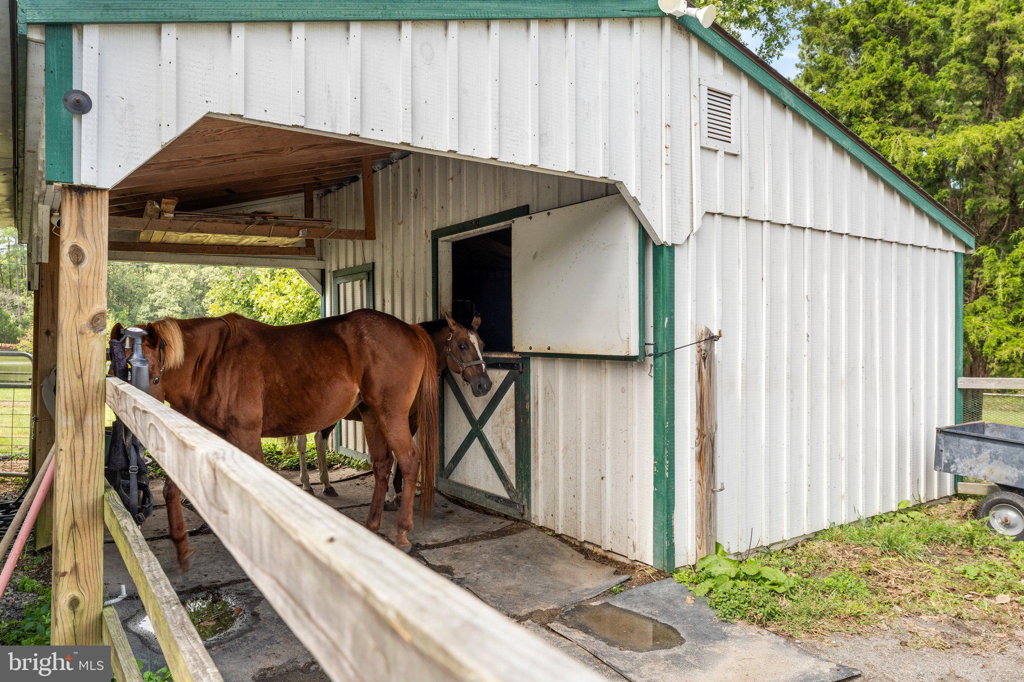 266 Rosa Bran Road Kinsale, VA 22488 - Photo 41 of 46 Horse Stall