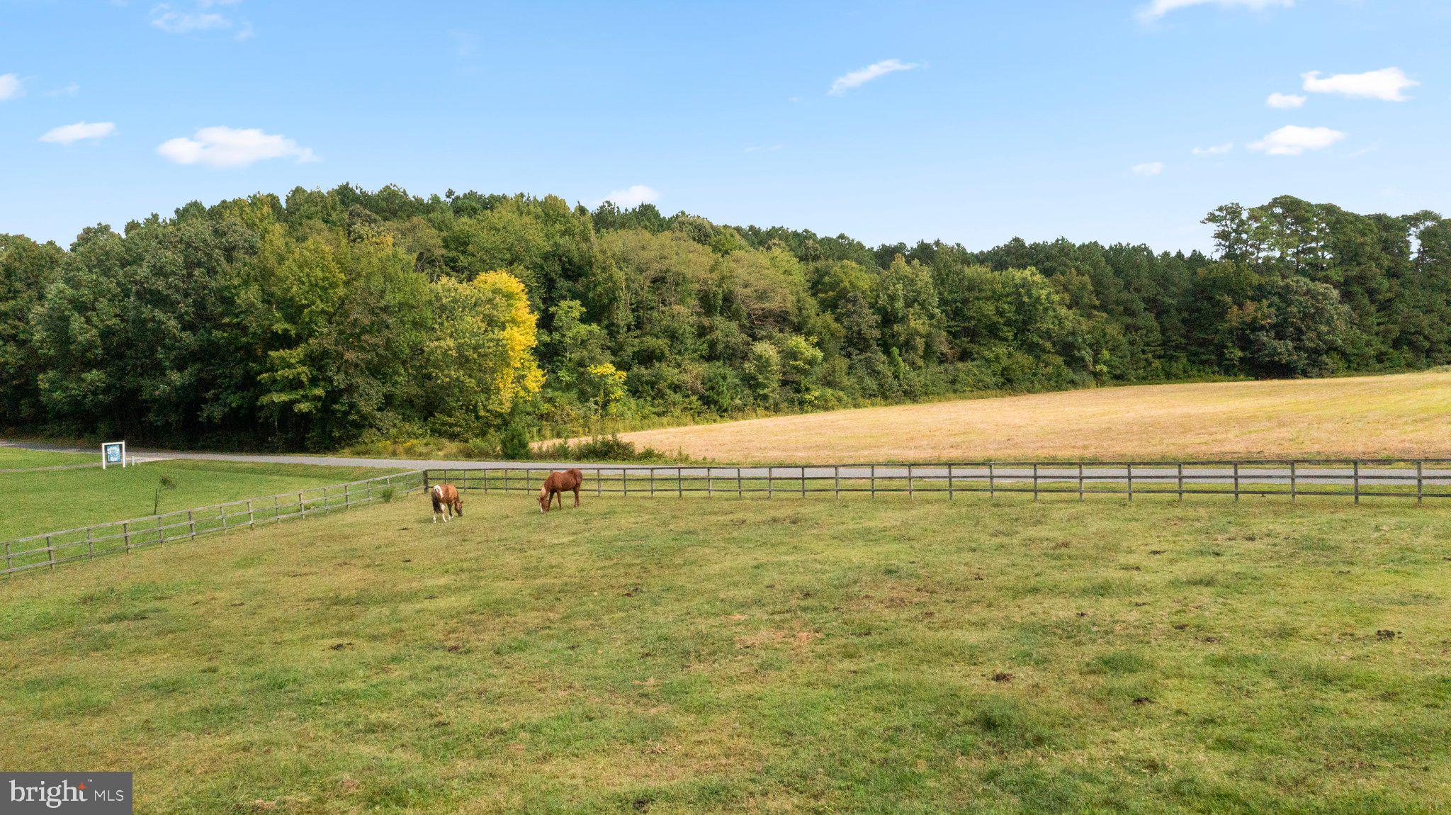 266 Rosa Bran Road Kinsale, VA 22488 - Photo 45 of 46 Fenced in pasture