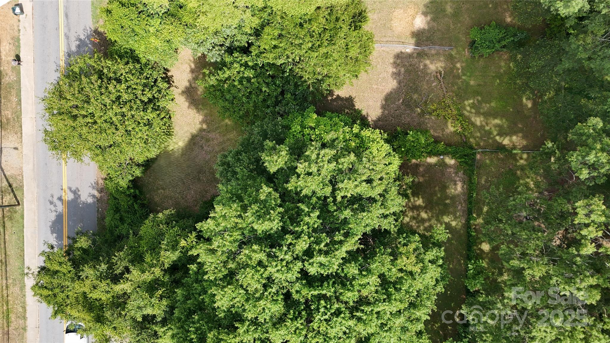 0 West Davidson Avenue Gastonia, NC 28052 - Photo 1 of 7 a plant view in yard