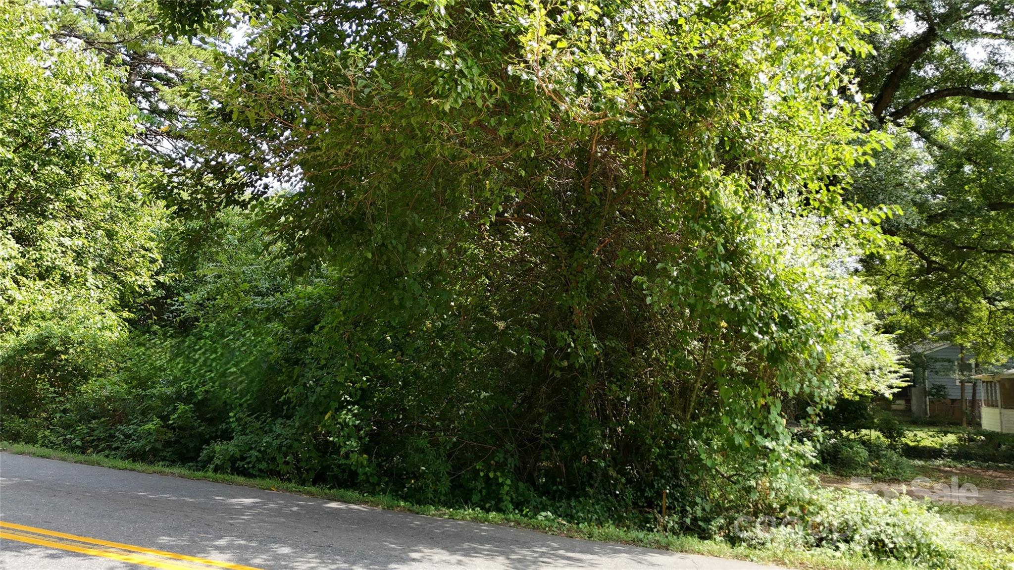 0 West Davidson Avenue Gastonia, NC 28052 - Photo 2 of 7 a view of a yard with plants and trees
