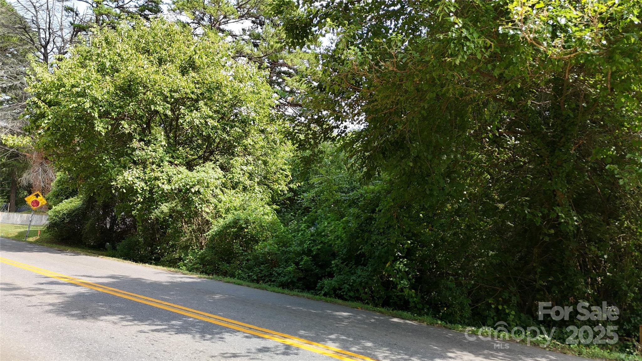 0 West Davidson Avenue Gastonia, NC 28052 - Photo 4 of 7 a view of a yard with plants and a trees