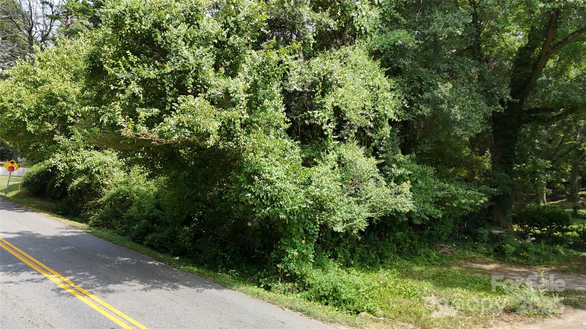 0 West Davidson Avenue Gastonia, NC 28052 - Photo 5 of 7 a view of a lush green forest