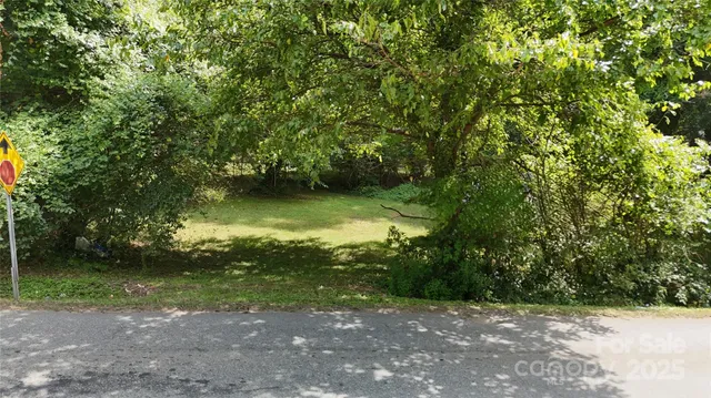a view of a yard with a tree