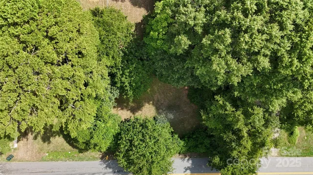 a view of a lake with a tree