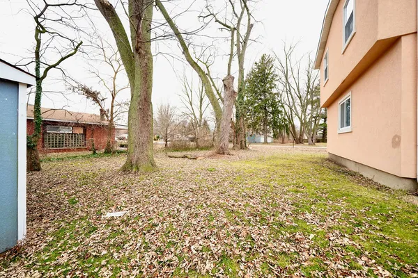 a view of dirt yard with a tree