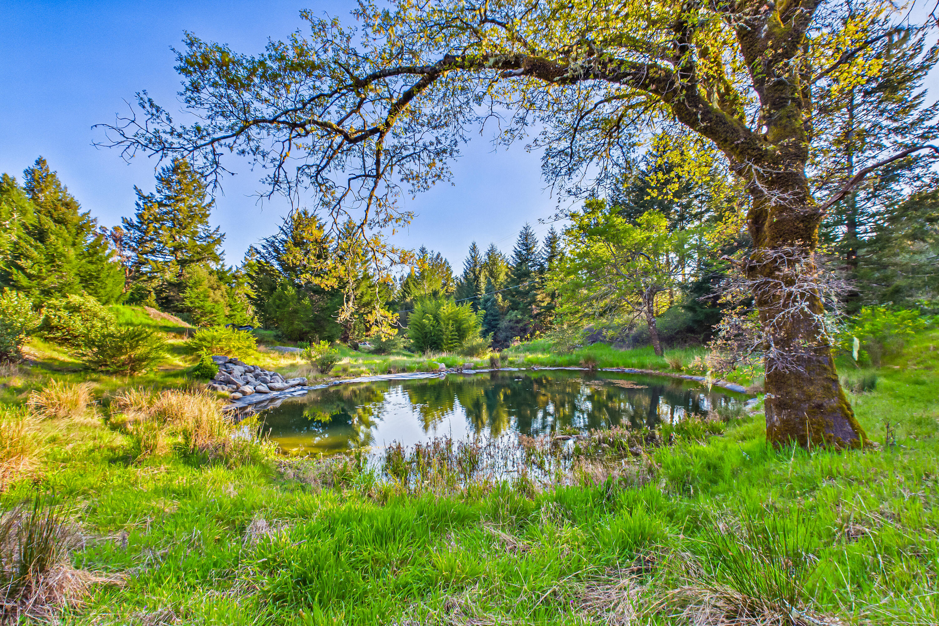 12600 Briceland Road Whitethorn, CA 95589 - Photo 109 of 111